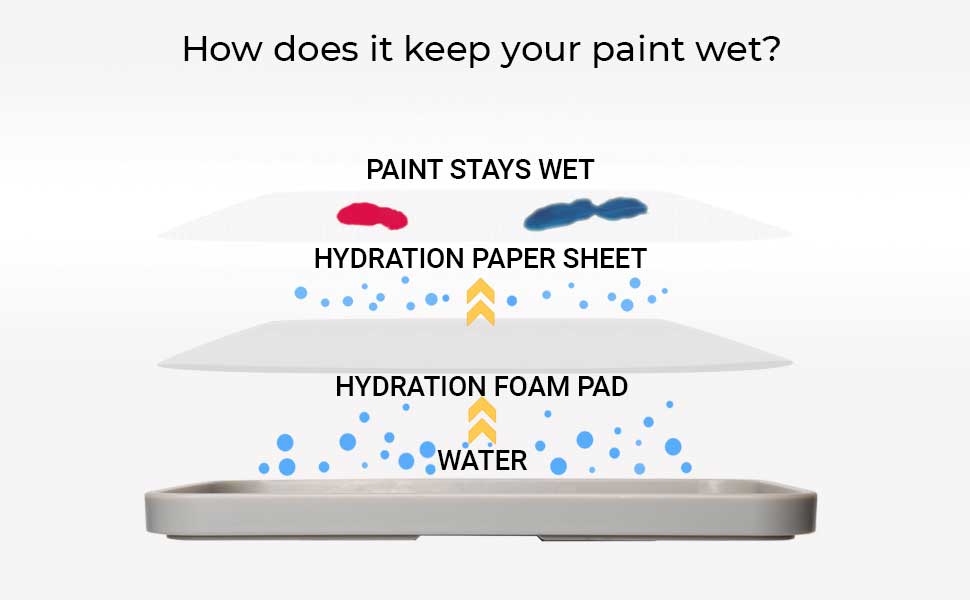 Why do you need a wet palette? - Redgrasscreative